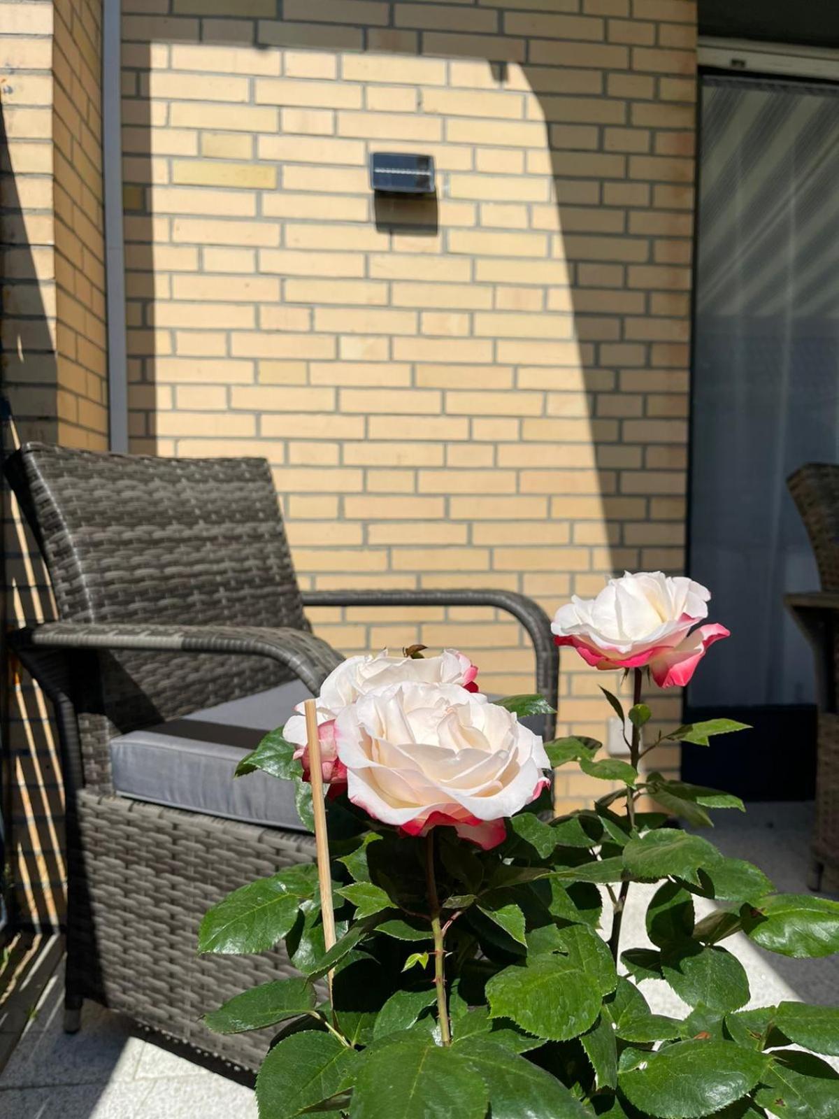 Ferienwohnung Strandoase Inklusive Terrasse Und Parkplatz - Sonnenseite Шарбойц Экстерьер фото